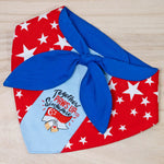 Paws Up For SG! Blue Starry Knot Tie Bandana