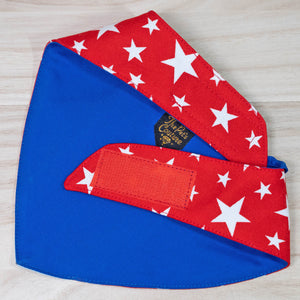 Paws Up For SG! Blue Starry Knot Tie Bandana