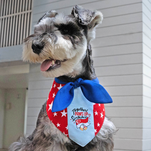 Paws Up For SG! Blue Starry Knot Tie Bandana