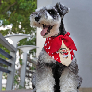 Paws Up For SG! Maroon Starry Knot Tie Bandana