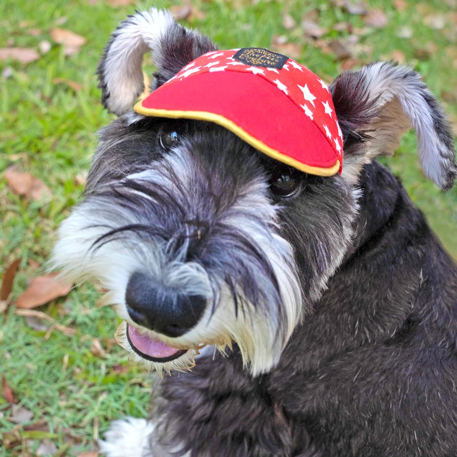 Paws Up! Unisex Walking Caps - Starry Atlas