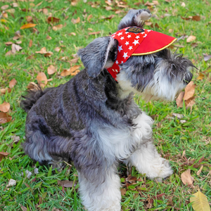 Paws Up! Unisex Walking Caps - Starry Atlas