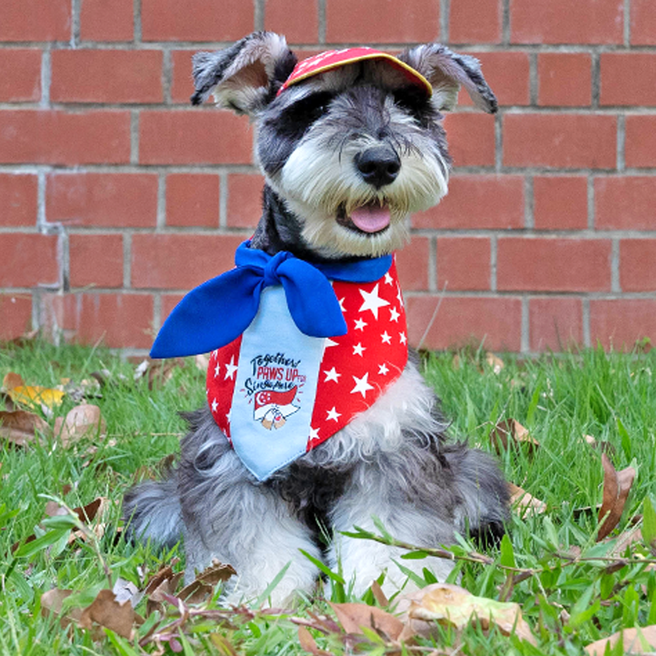 Paws Up For SG! Blue Starry Knot Tie Bandana