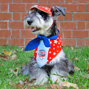 Paws Up For SG! Blue Starry Knot Tie Bandana