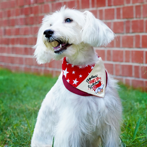 Paws Up For SG! - Red Star Duo Tone Maroon Bandana - The Pet's Couture