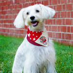 Paws Up For SG! - Red Star Duo Tone Maroon Bandana - The Pet's Couture