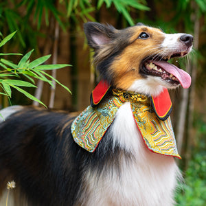 Spring Of Success in Imperial Red Tuscany CNY Cape - The Pet's Couture