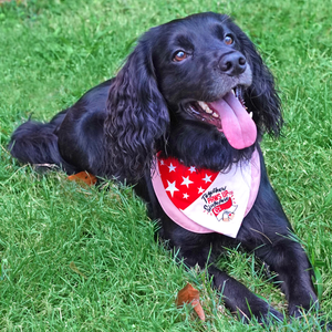 Paws Up For SG! - Red Star Duo Tone Pink Bandana - The Pet's Couture